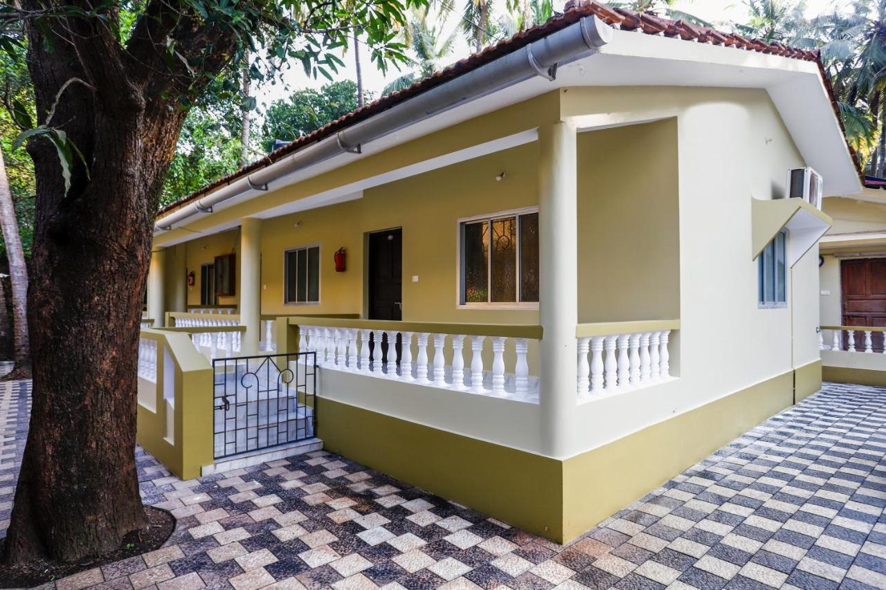 Hill Top Nest فاغاتور المظهر الخارجي الصورة